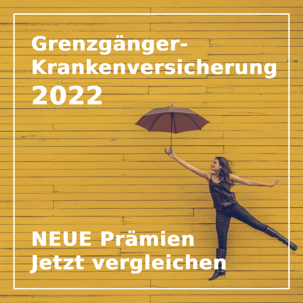 Bewilligung Schweiz: Welche Optionen Gibt Es? - Grenzgänger Schweiz